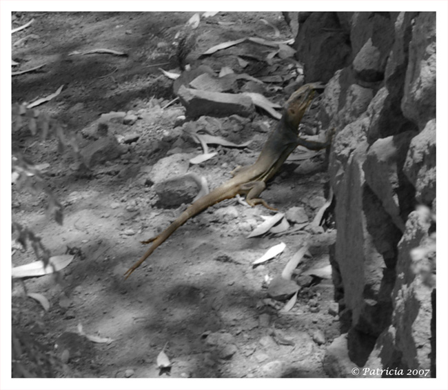 Image Hosted by ImageShack.us